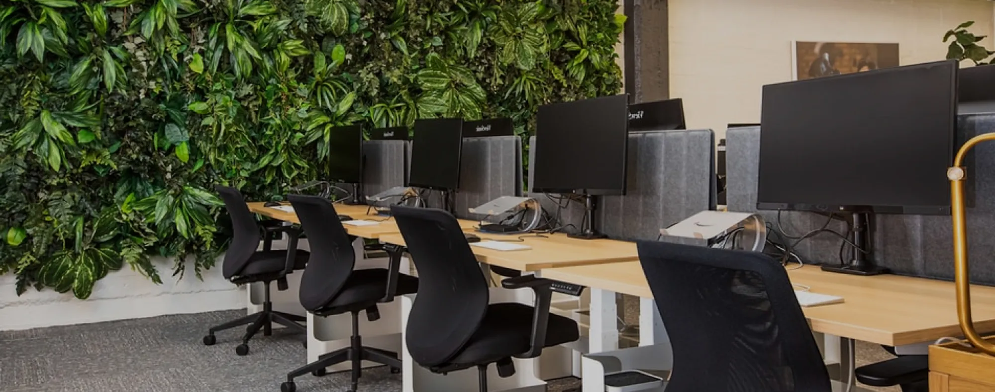 Lifecycle management